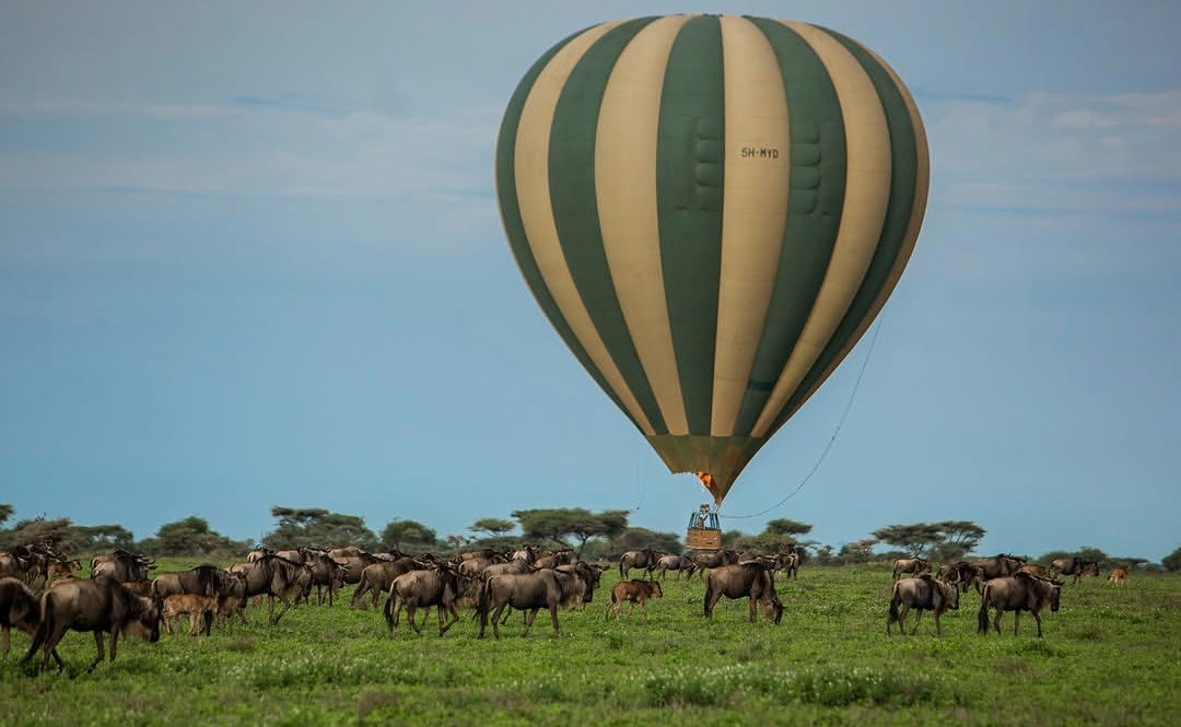 Bespoke luxury safaris