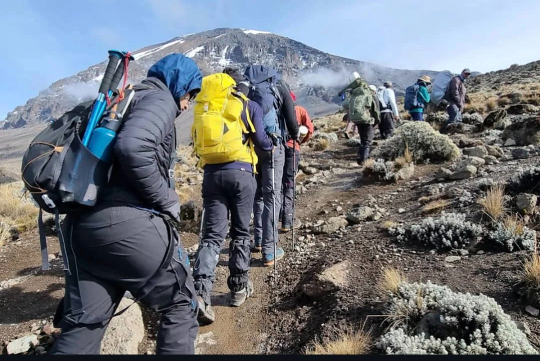 Lemosho 8-Day Kilimanjaro