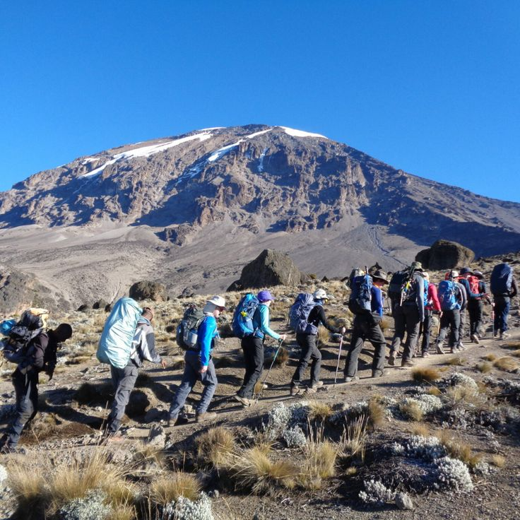 7 Days Mount Kilimanjaro Lemosho Route climb with rainforest trails, Shira Plateau, Lava Tower, Barranco Wall, Karanga Valley, Uhuru Peak, professional guides, and emergency oxygen
