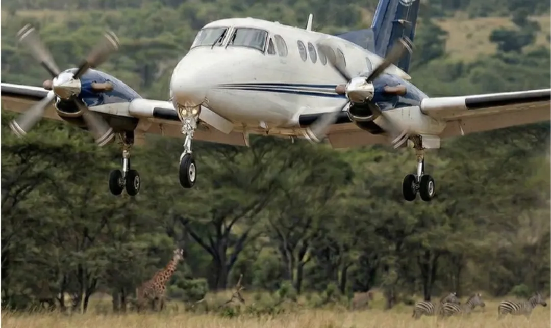 Fly In Safari Serengeti Ngorongoro