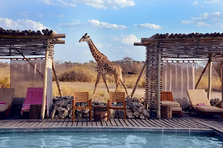 Tarangire Serengeti Ngorongoro Manyara