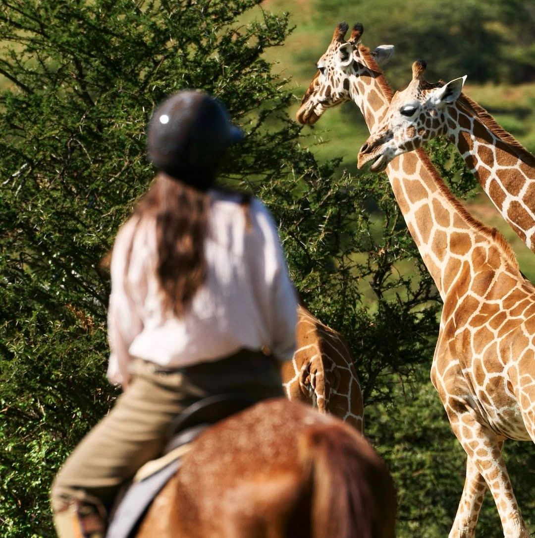 8 Day Northern Circuit Safari