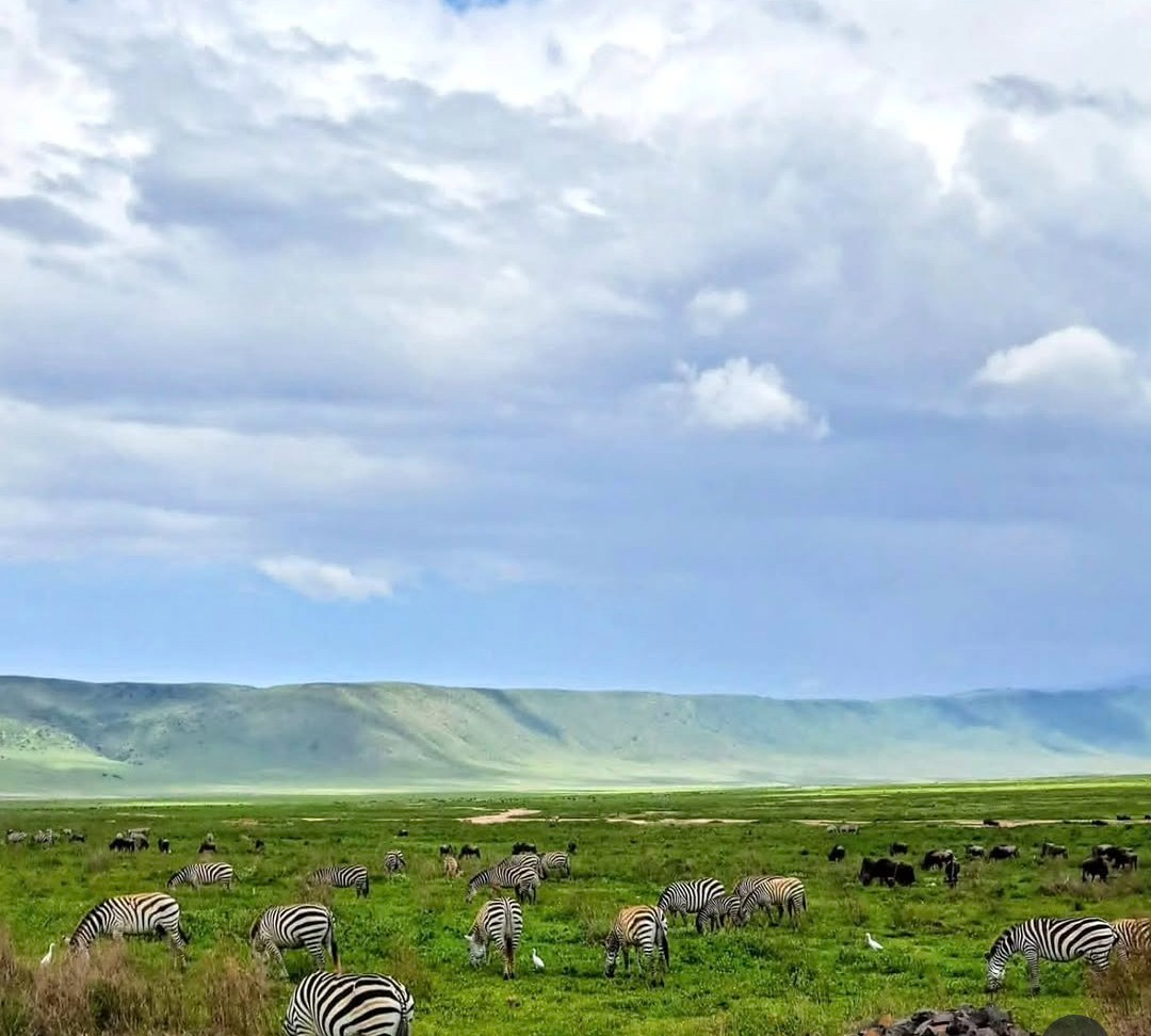 3-Day Tarangire, Ngorongoro Crater & Lake Manyara safari