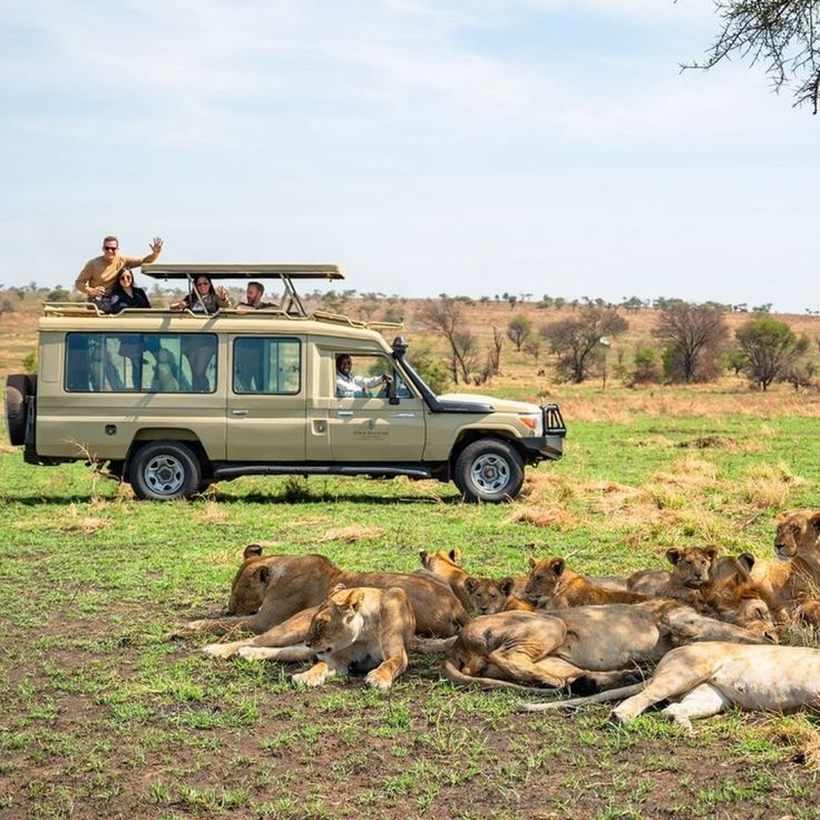 6 Day Serengeti Ngorongoro