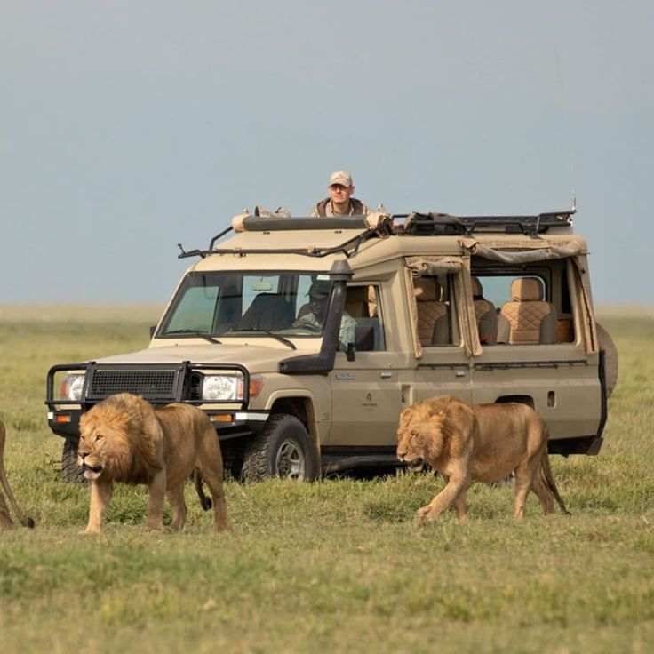 Ngorongoro Crater Tanzania safari