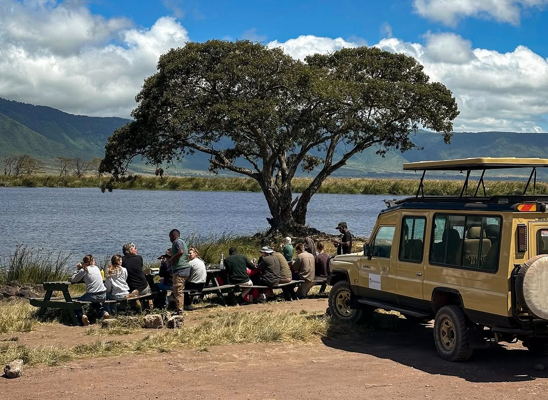 3-day luxury fly-in Serengeti safari from Zanzibar