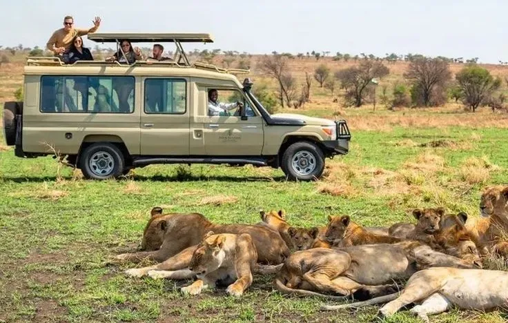 5-Day Northern Circuit Tanzania Safari