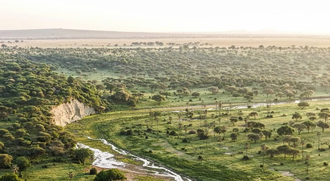 5 Days Tanzania Safari Tarangire, Serengeti, Ngorongoro & Manyara