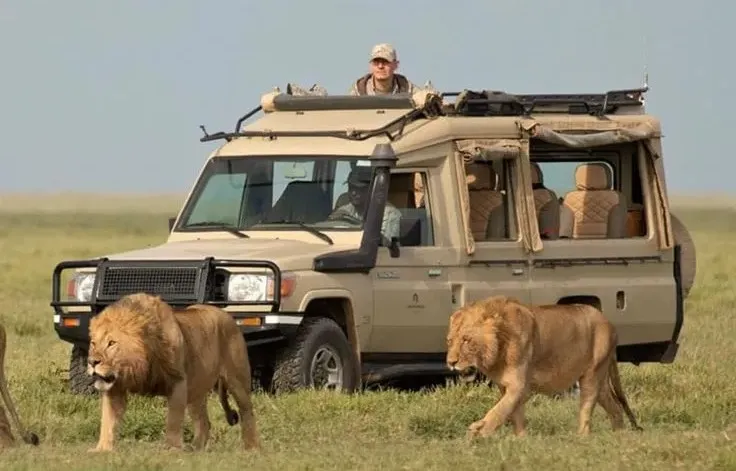 6 Day Tanzania Safari