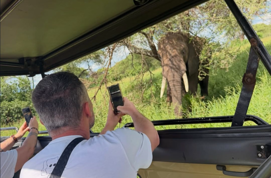6-day all-inclusive private Northern Circuit safari