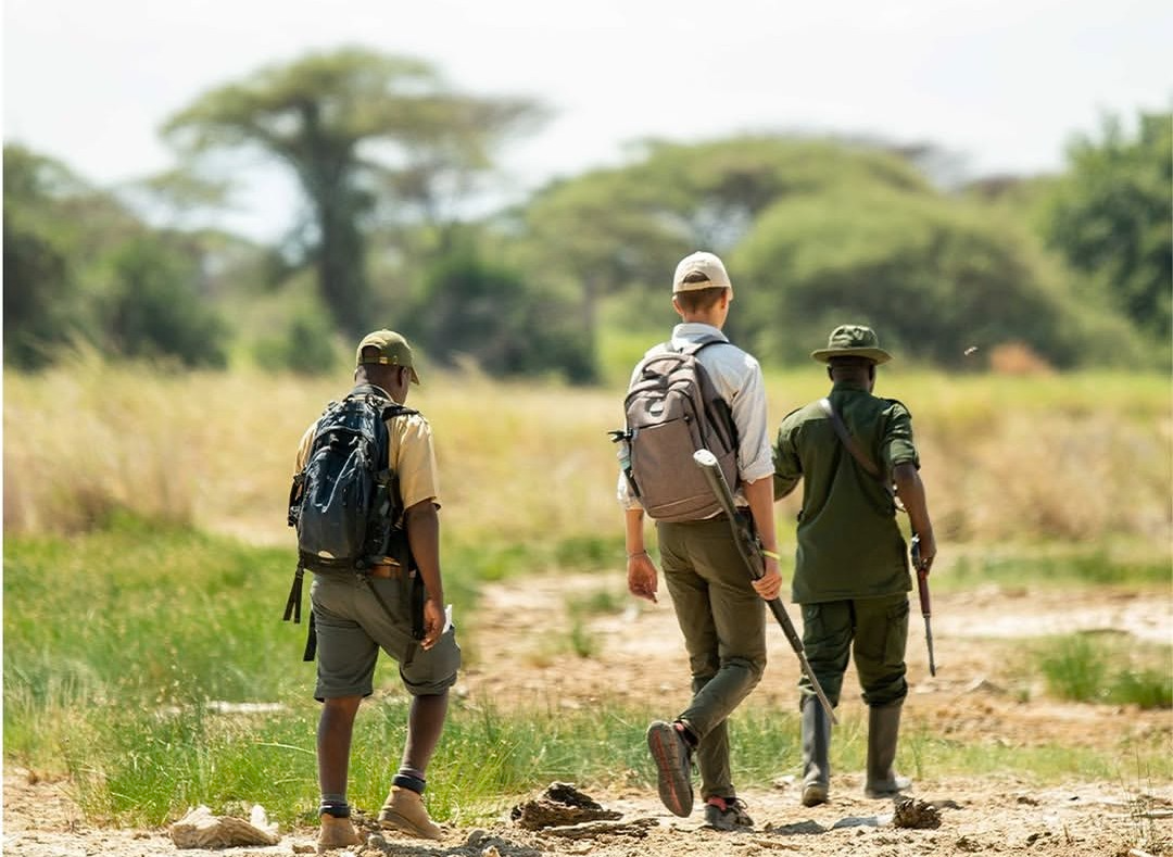 All Safari Packages
