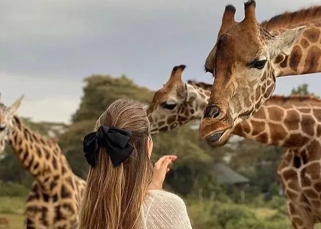 2 Days Kilimanjaro & Serval
