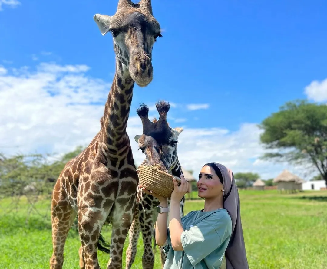 Short Safaris & Day Trips