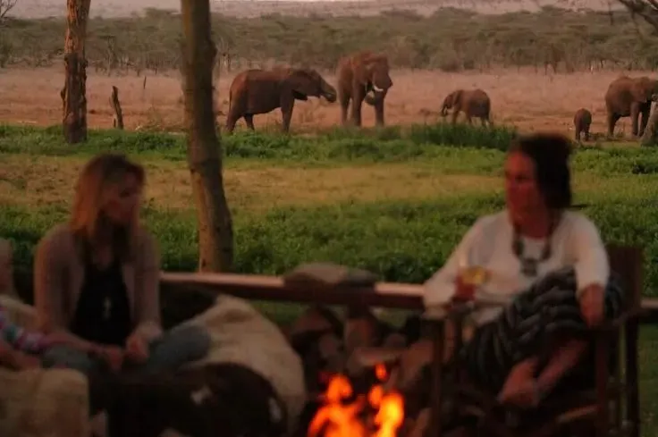 Guests clinking glasses at a Serengeti sundowner